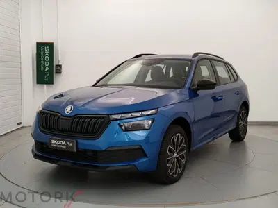 Skoda Kamiq 1.5 tsi Black Dots 150cv dsg del 2023 usata a Busto Arsizio