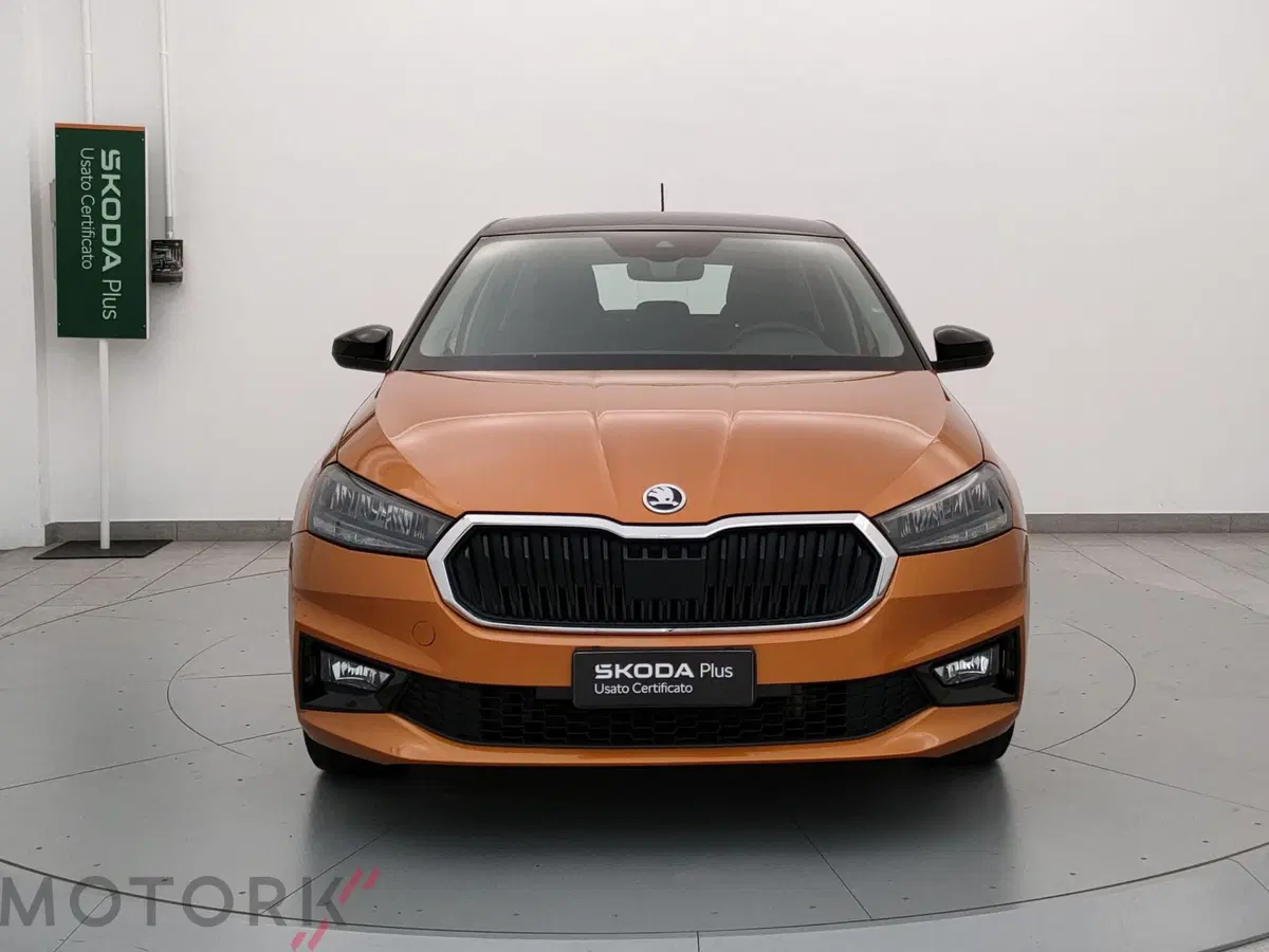 Skoda Fabia usata a Varese (2)
