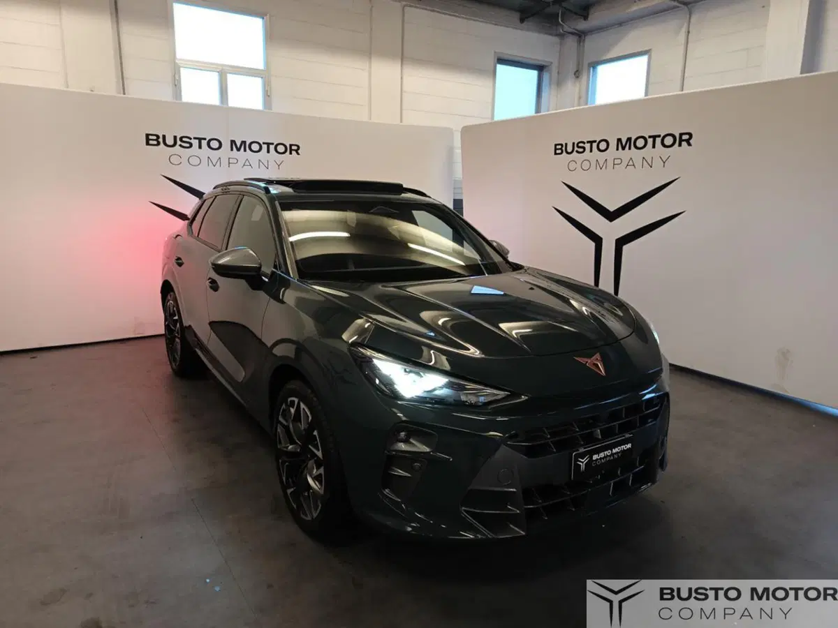 Cupra Terramar usata a Varese