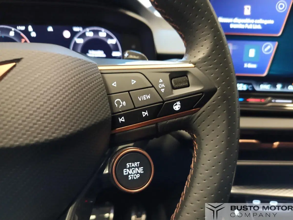 Cupra Terramar usata a Varese (19)