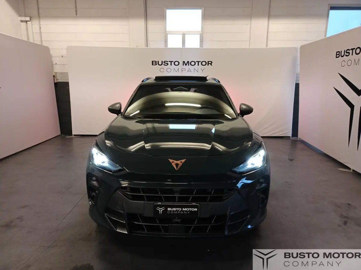 Cupra Terramar usata a Varese (2)