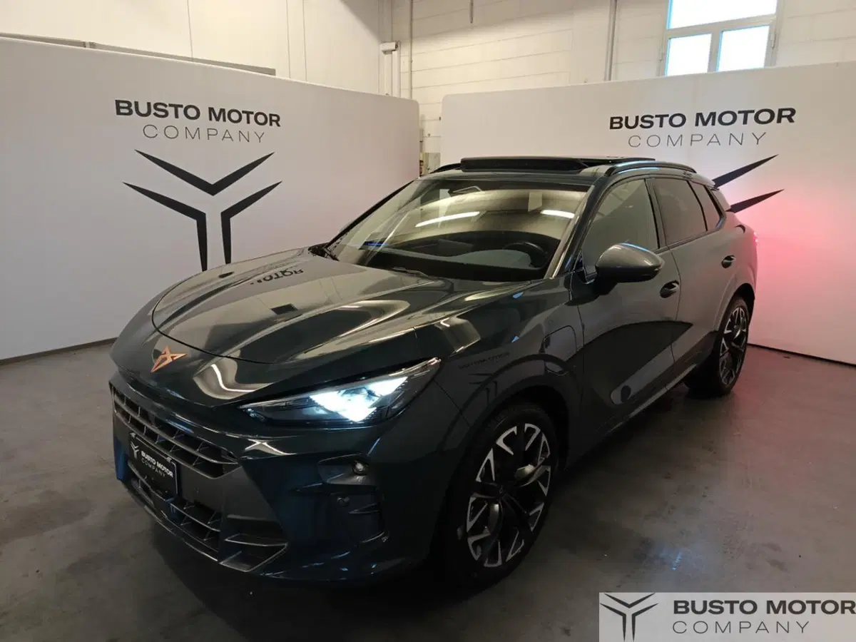 Cupra Terramar usata a Varese (3)