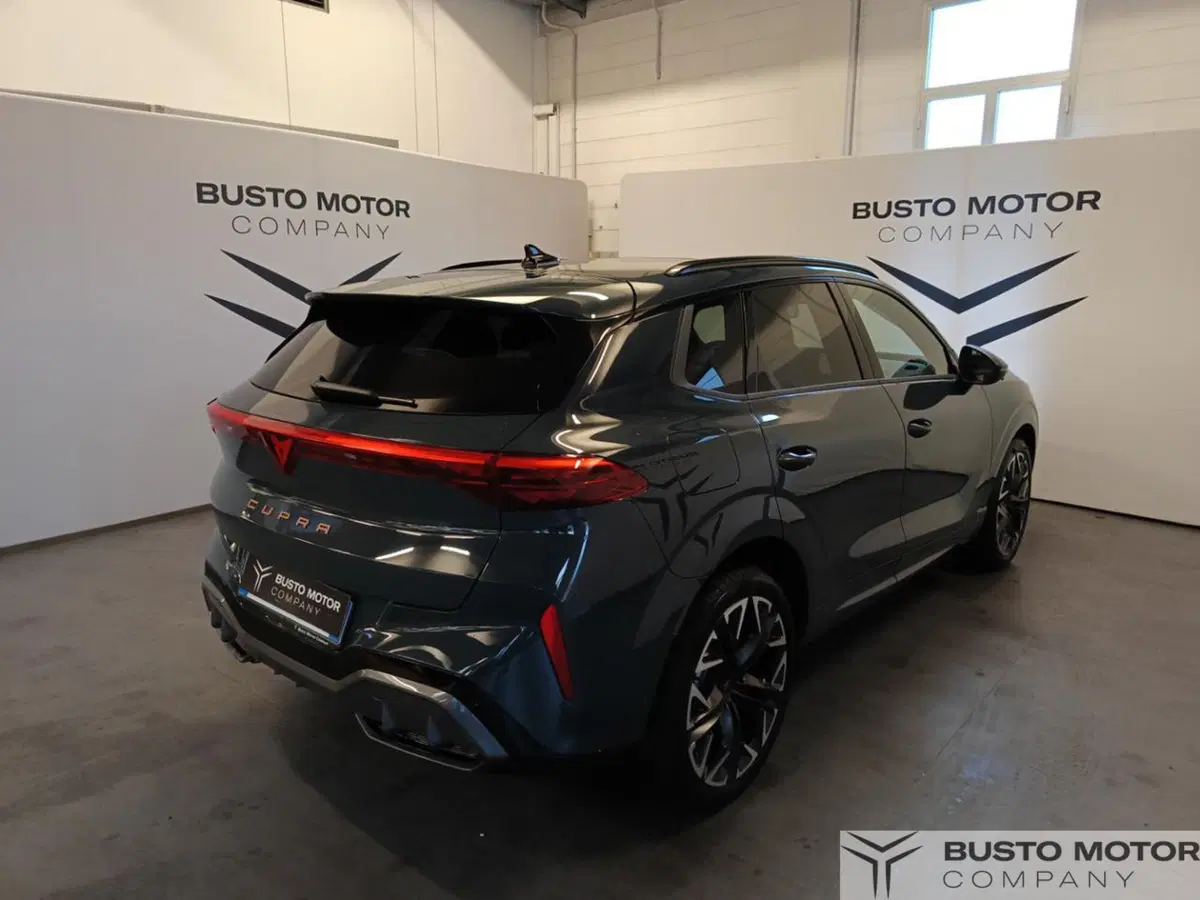 Cupra Terramar usata a Varese (6)