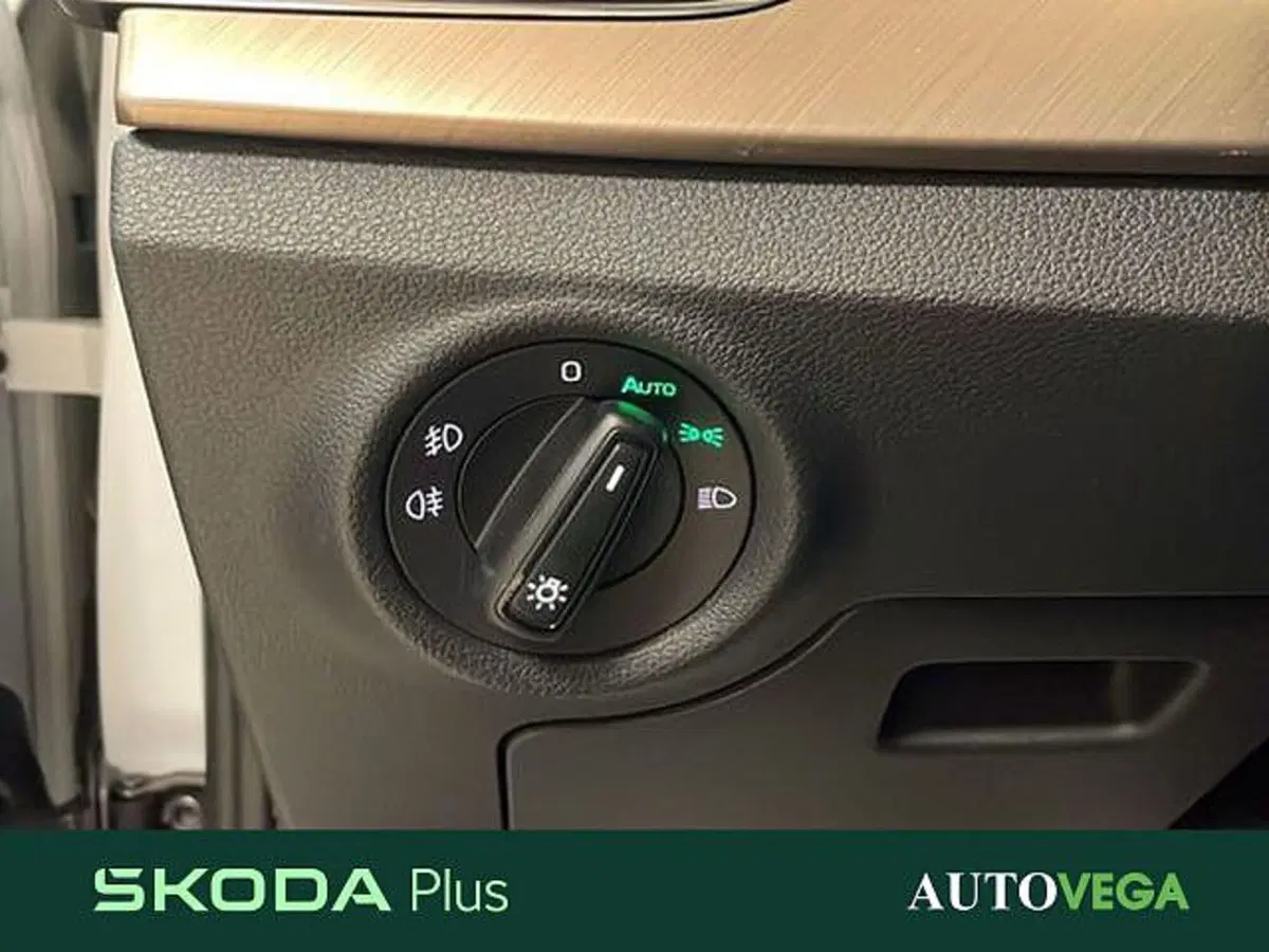 Skoda Kamiq usata a Vicenza (14)