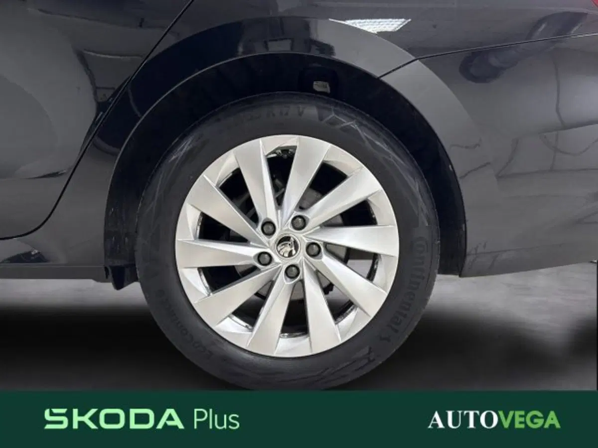 Skoda Octavia Station Wagon usata a Vicenza (18)