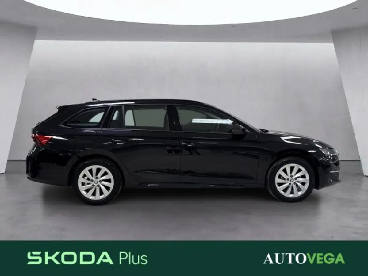 Skoda Octavia Station Wagon usata a Vicenza (3)