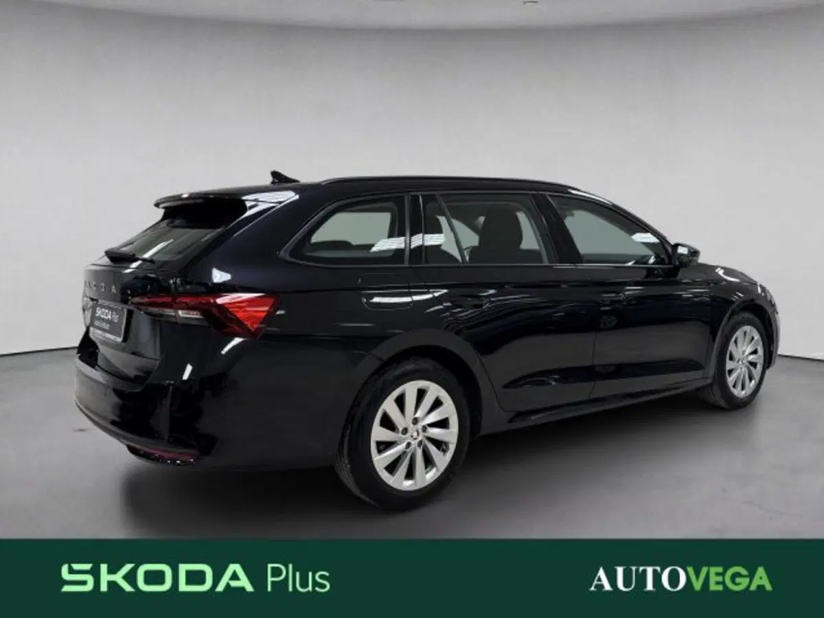 Skoda Octavia Station Wagon usata a Vicenza (4)