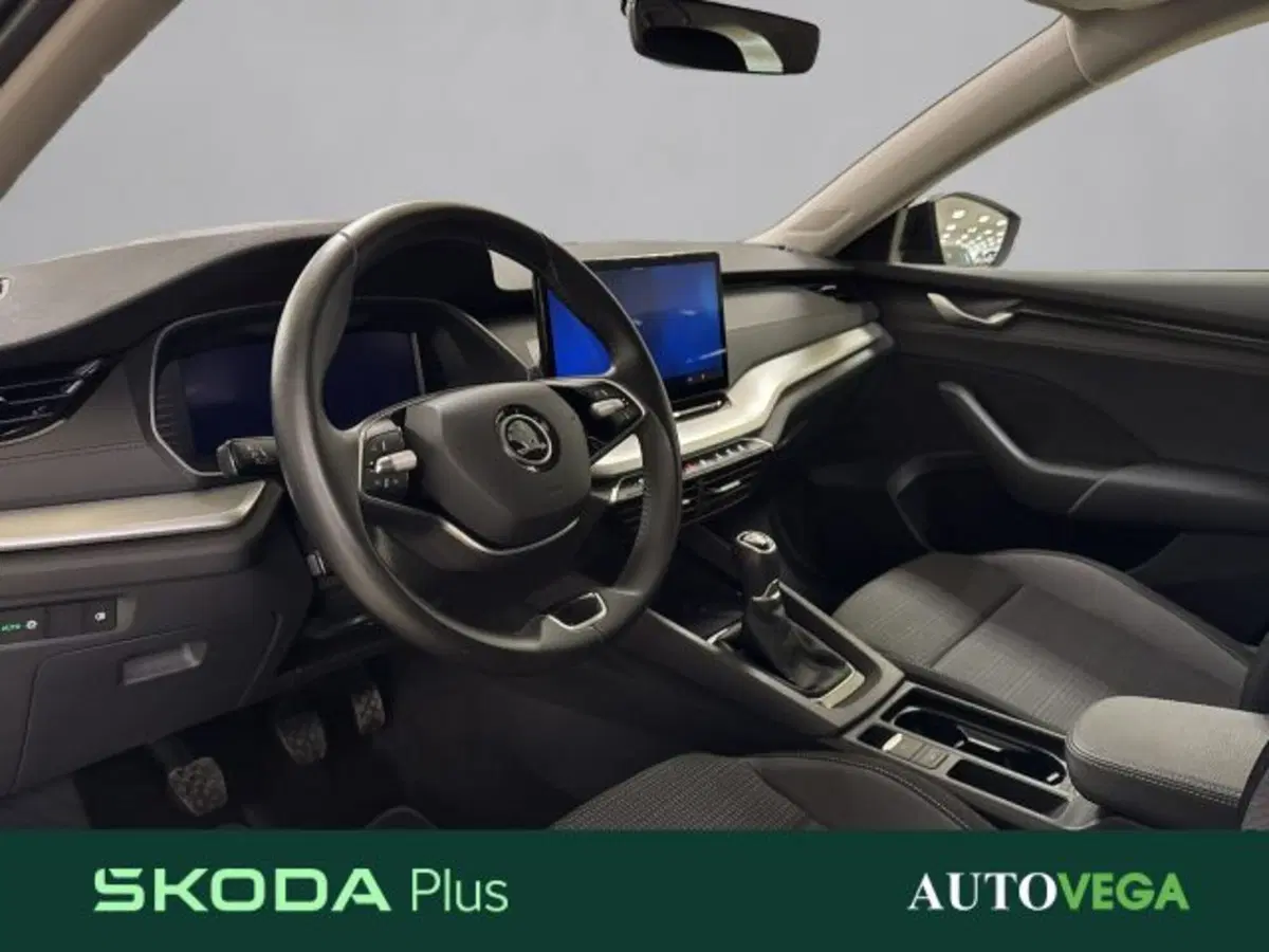 Skoda Octavia Station Wagon usata a Vicenza (7)