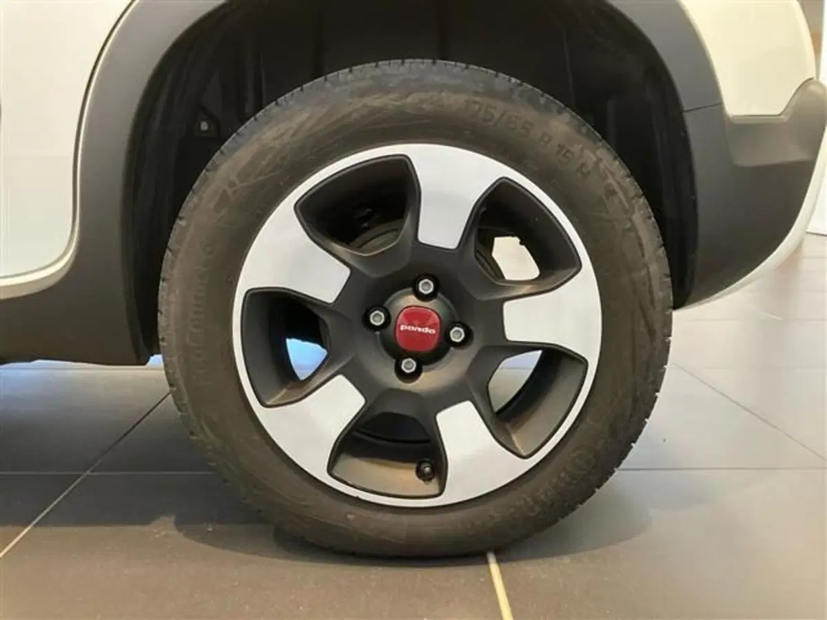 Fiat Panda Cross usata a Como (7)