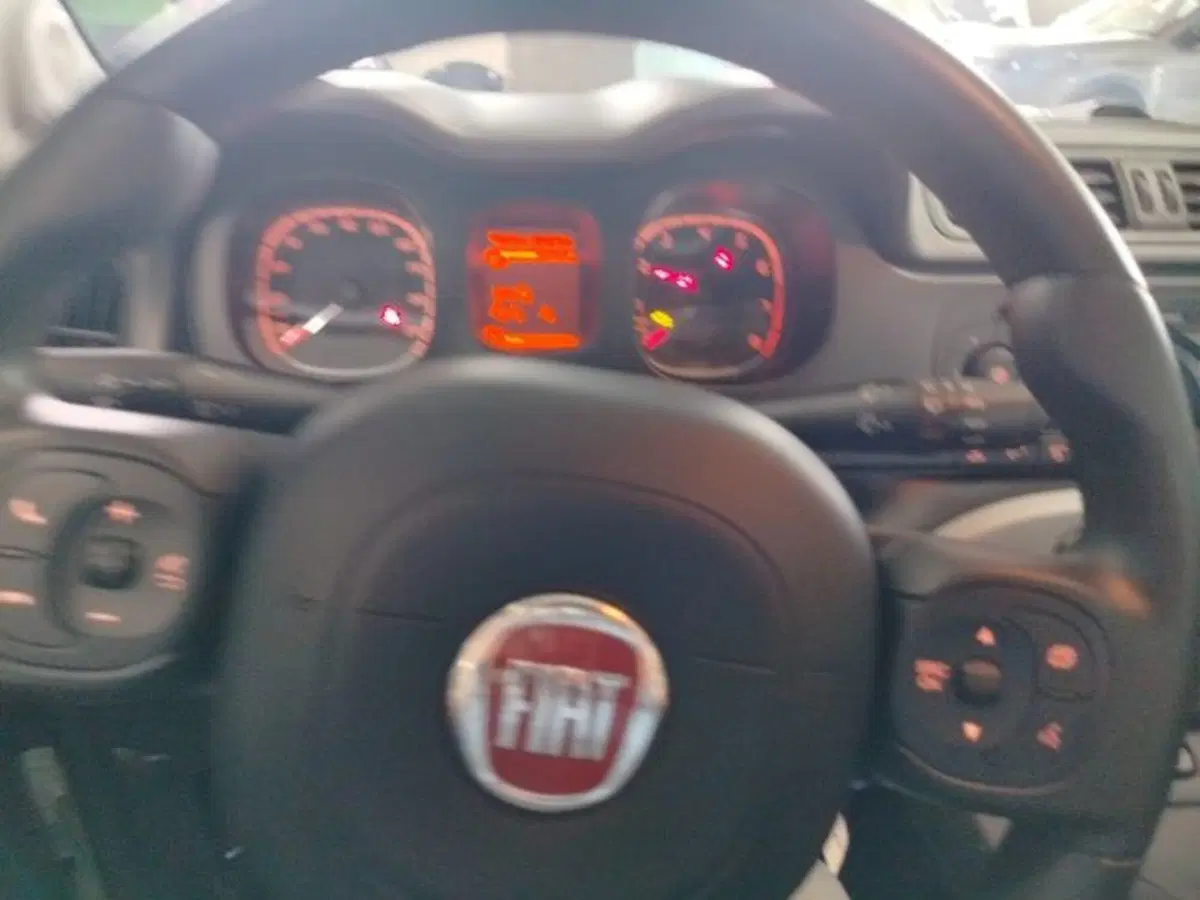 Fiat Panda Cross usata a Forlì-Cesena (19)