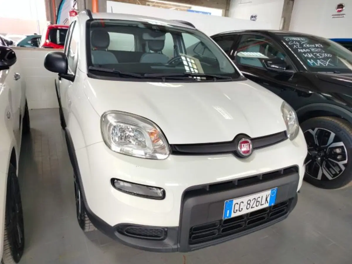 Fiat Panda Cross usata a Forlì-Cesena (2)