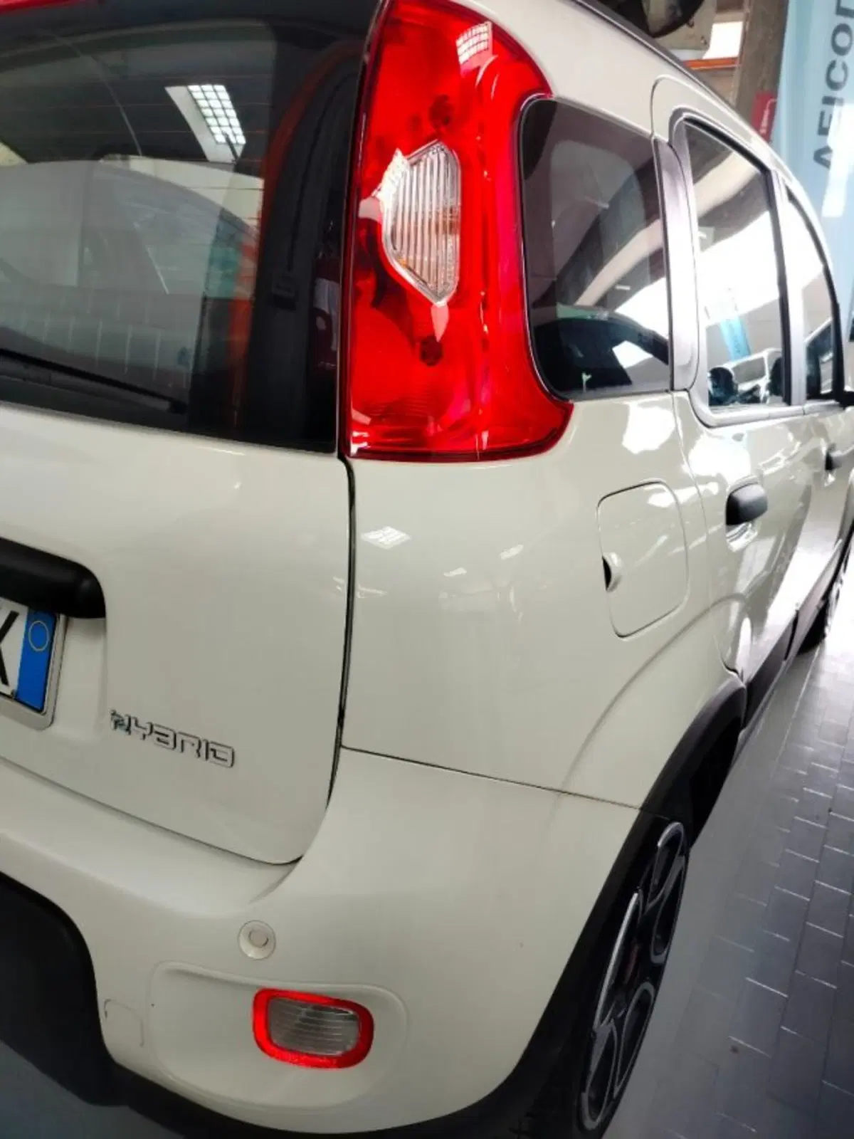 Fiat Panda Cross usata a Forlì-Cesena (8)