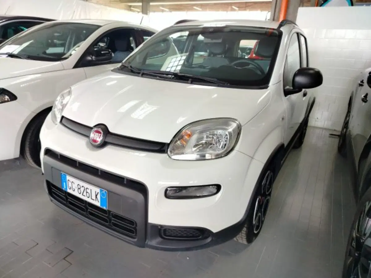 Fiat Panda Cross usata a Forlì-Cesena (9)