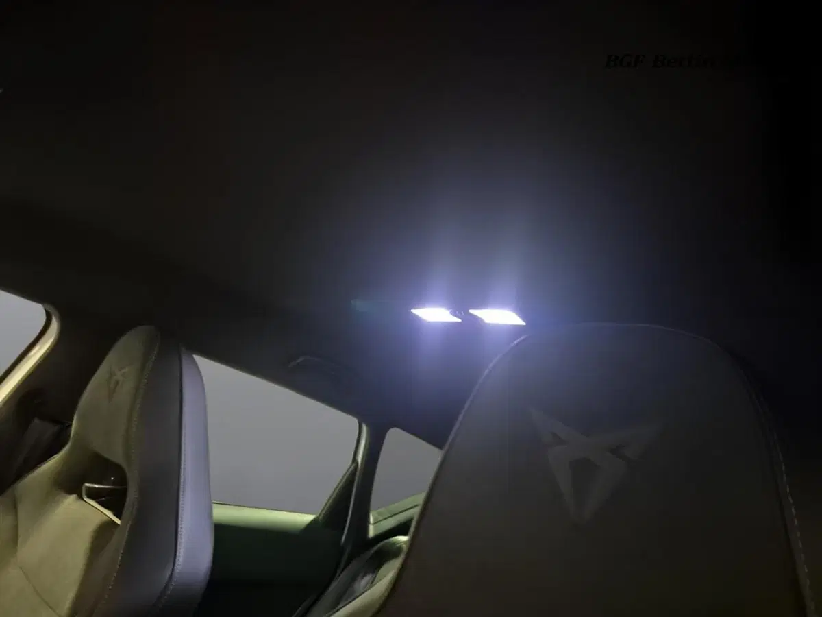Cupra Ateca usata a Padova (15)