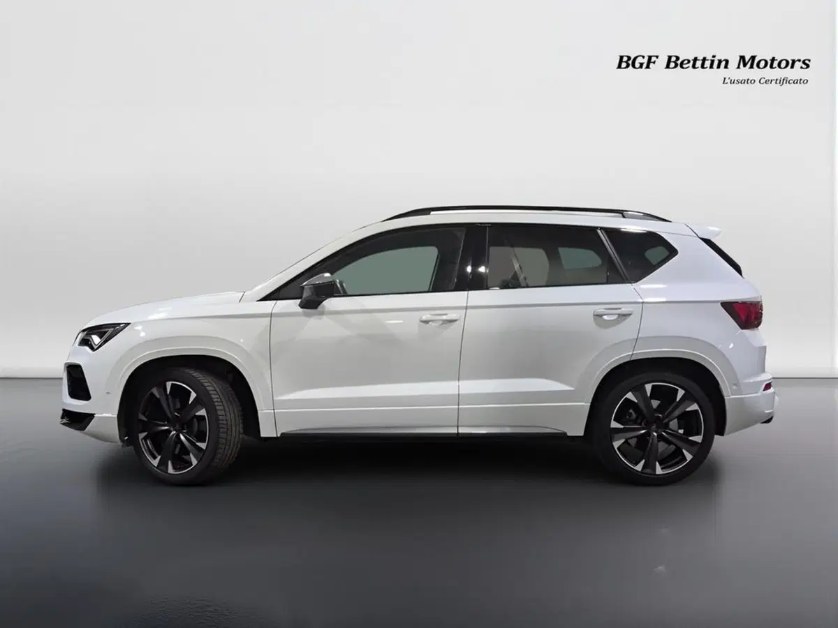 Cupra Ateca usata a Padova (2)