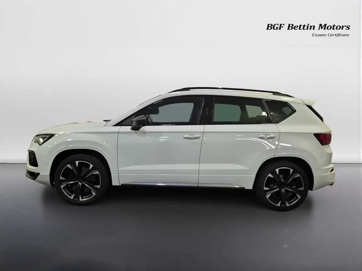 Cupra Ateca usata a Padova (5)