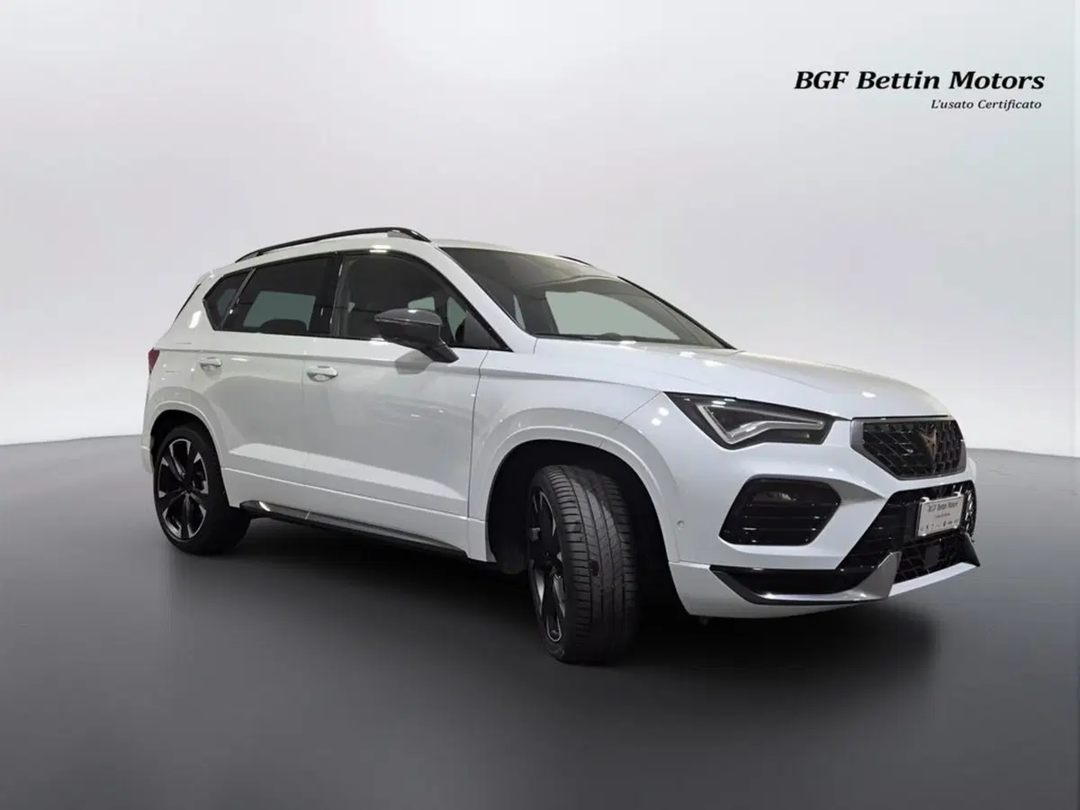 Cupra Ateca usata a Padova (6)