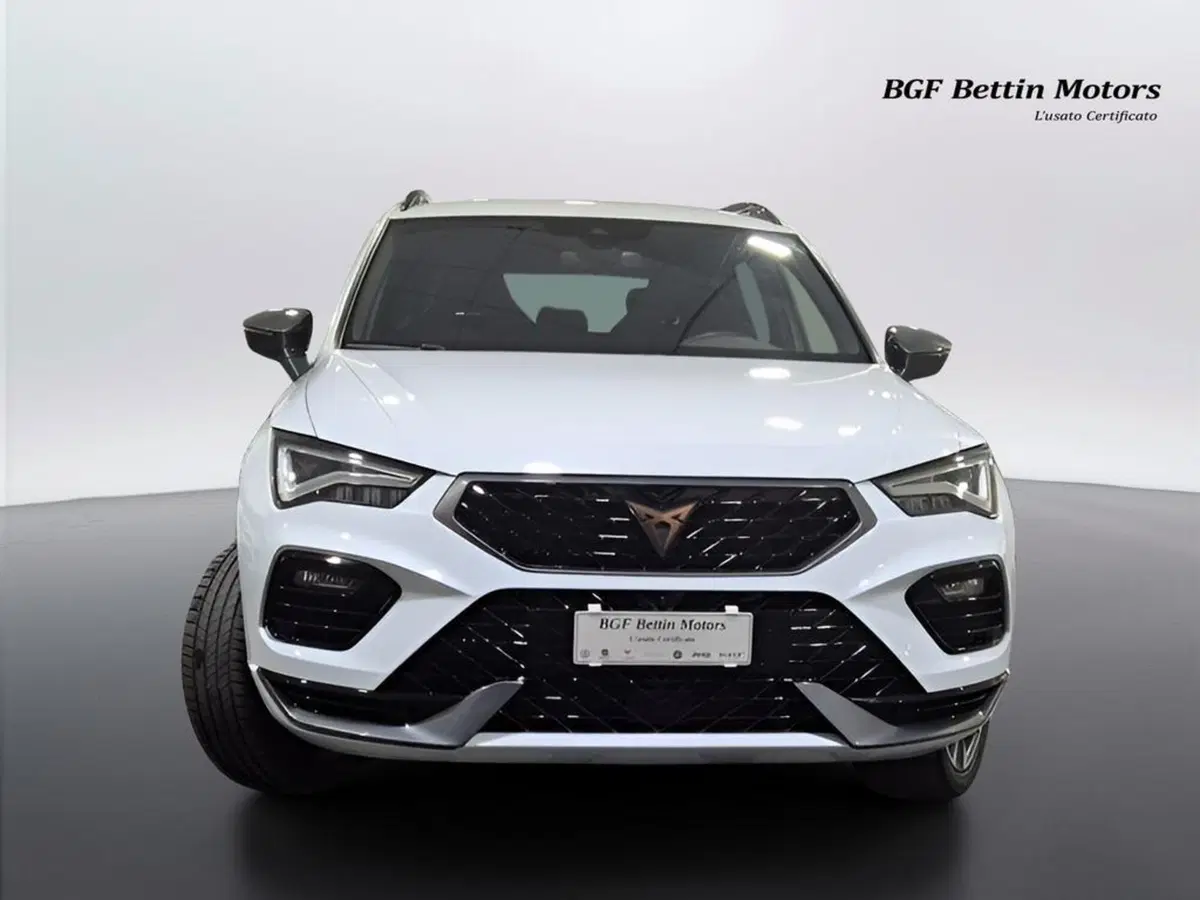 Cupra Ateca usata a Padova (7)