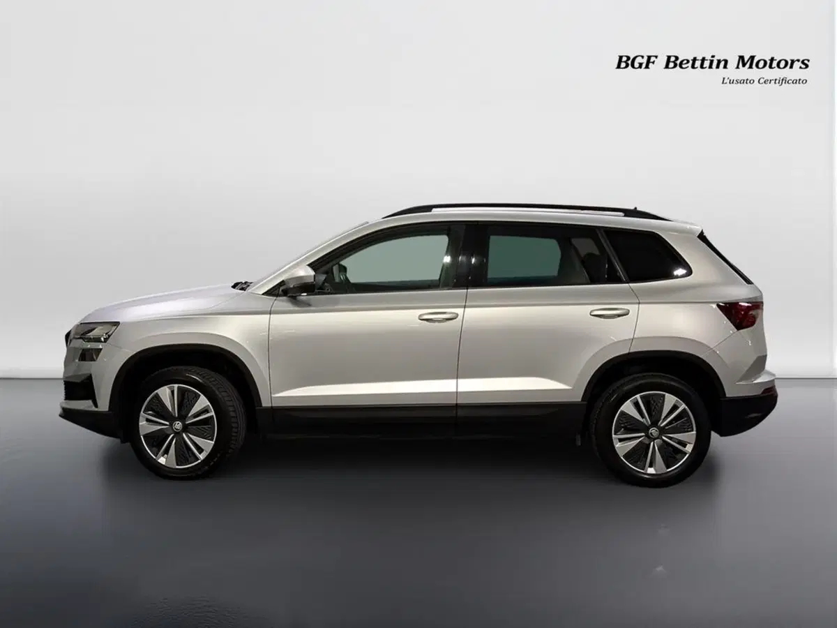 Skoda Karoq usata a Padova (2)