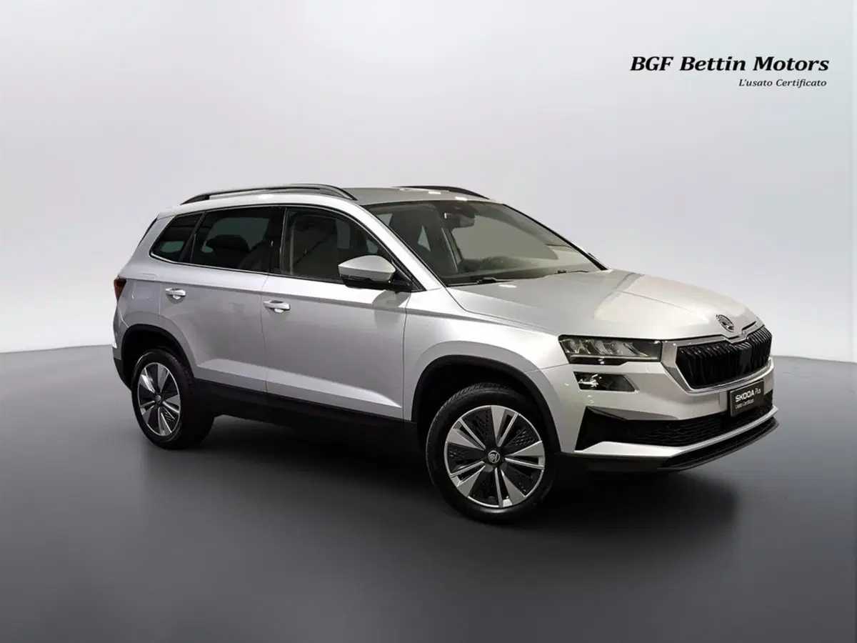 Skoda Karoq usata a Padova (6)