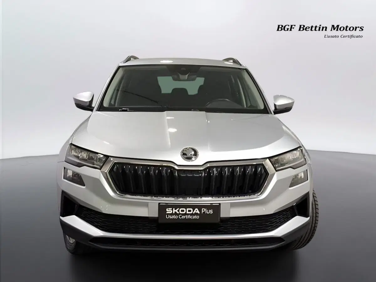 Skoda Karoq usata a Padova (7)