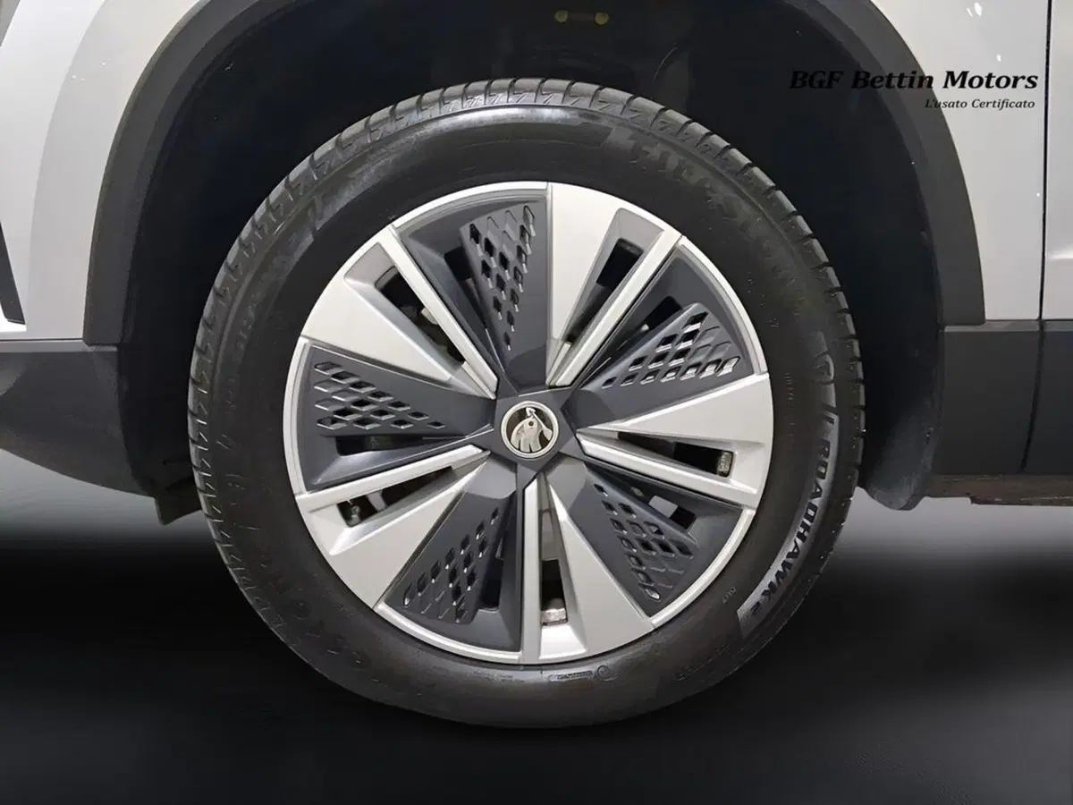 Skoda Karoq usata a Padova (9)