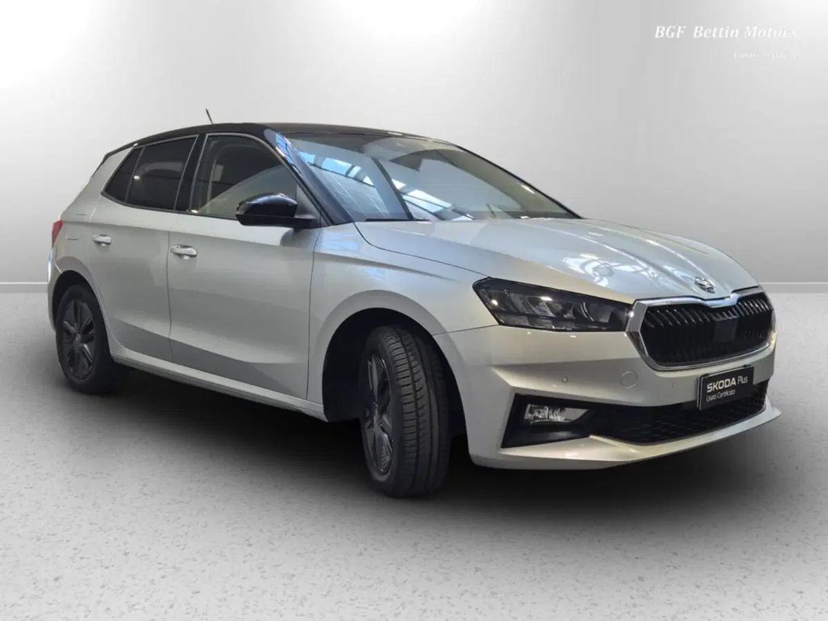 Skoda Fabia usata a Padova (4)