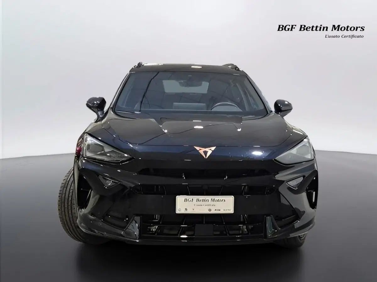 Cupra Formentor usata a Padova (7)