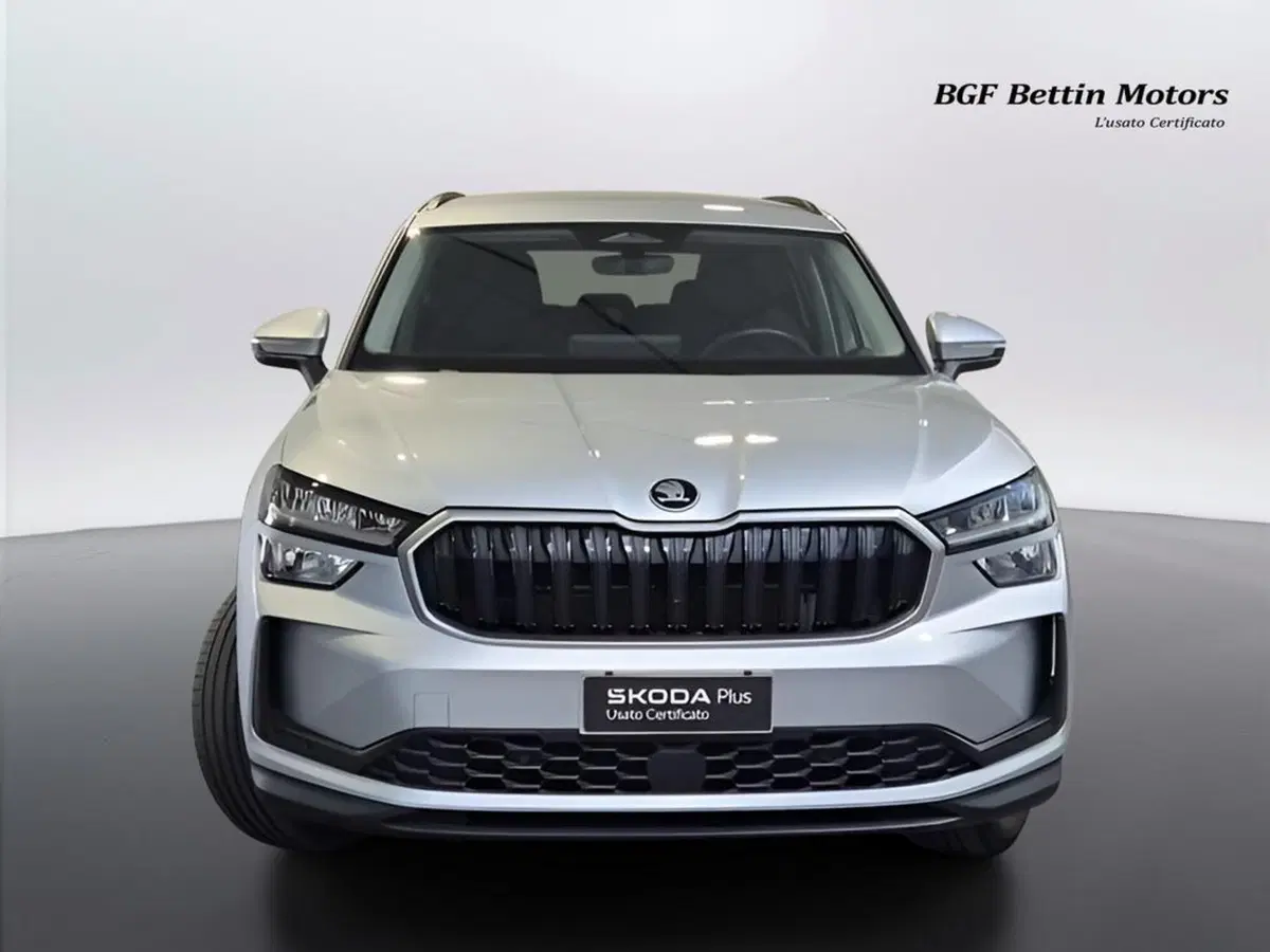 Skoda Kodiaq usata a Padova (7)