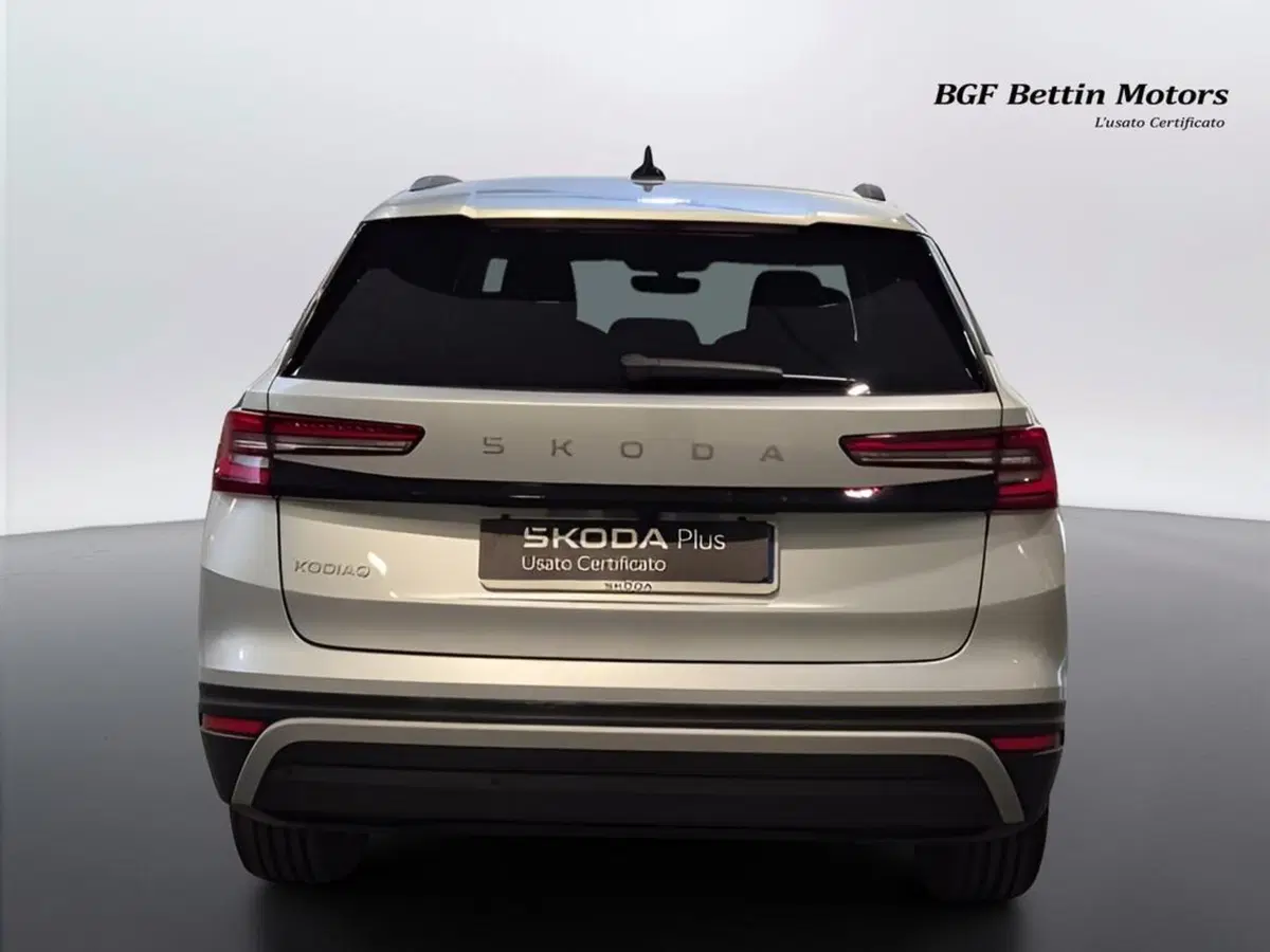 Skoda Kodiaq usata a Padova (8)
