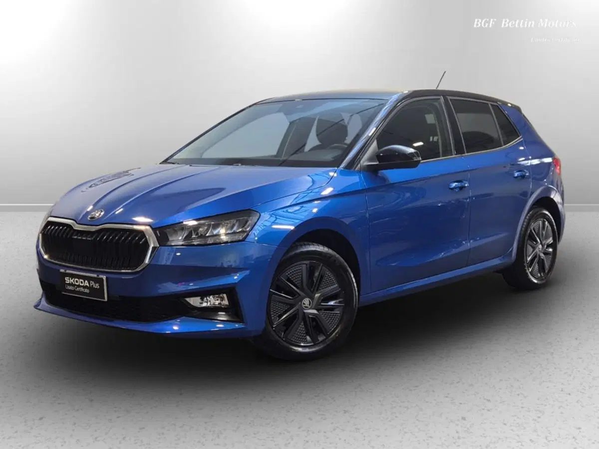 Skoda Fabia usata a Padova