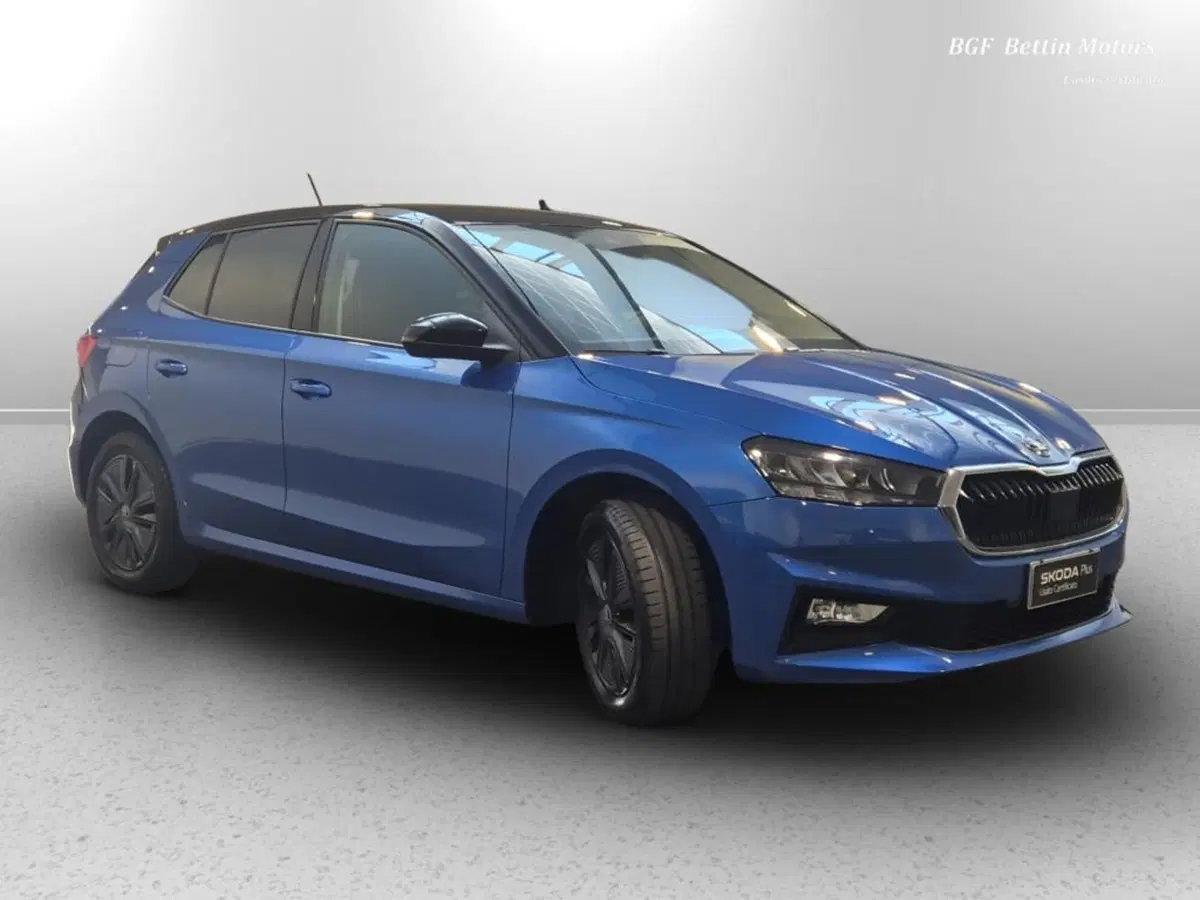 Skoda Fabia usata a Padova (4)