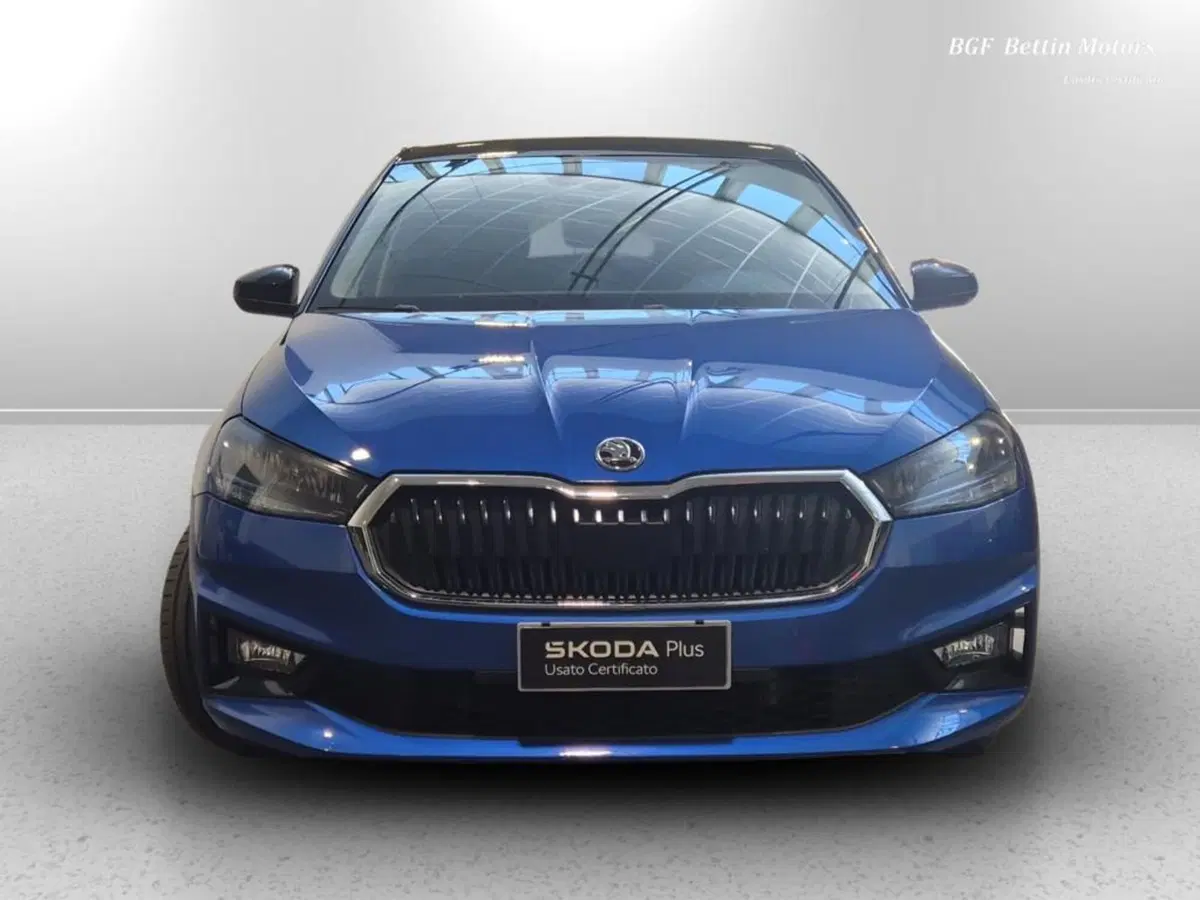 Skoda Fabia usata a Padova (7)