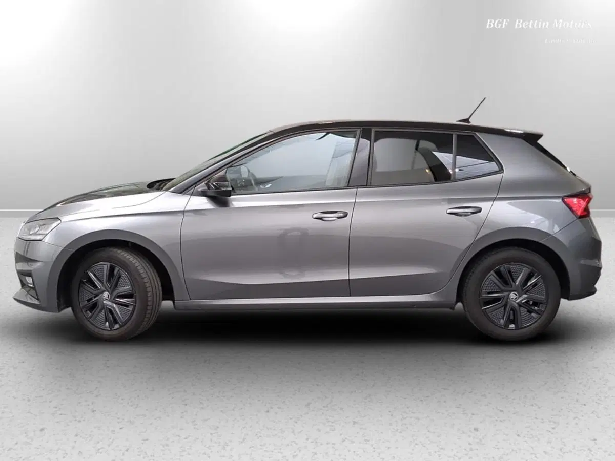 Skoda Fabia usata a Padova (2)