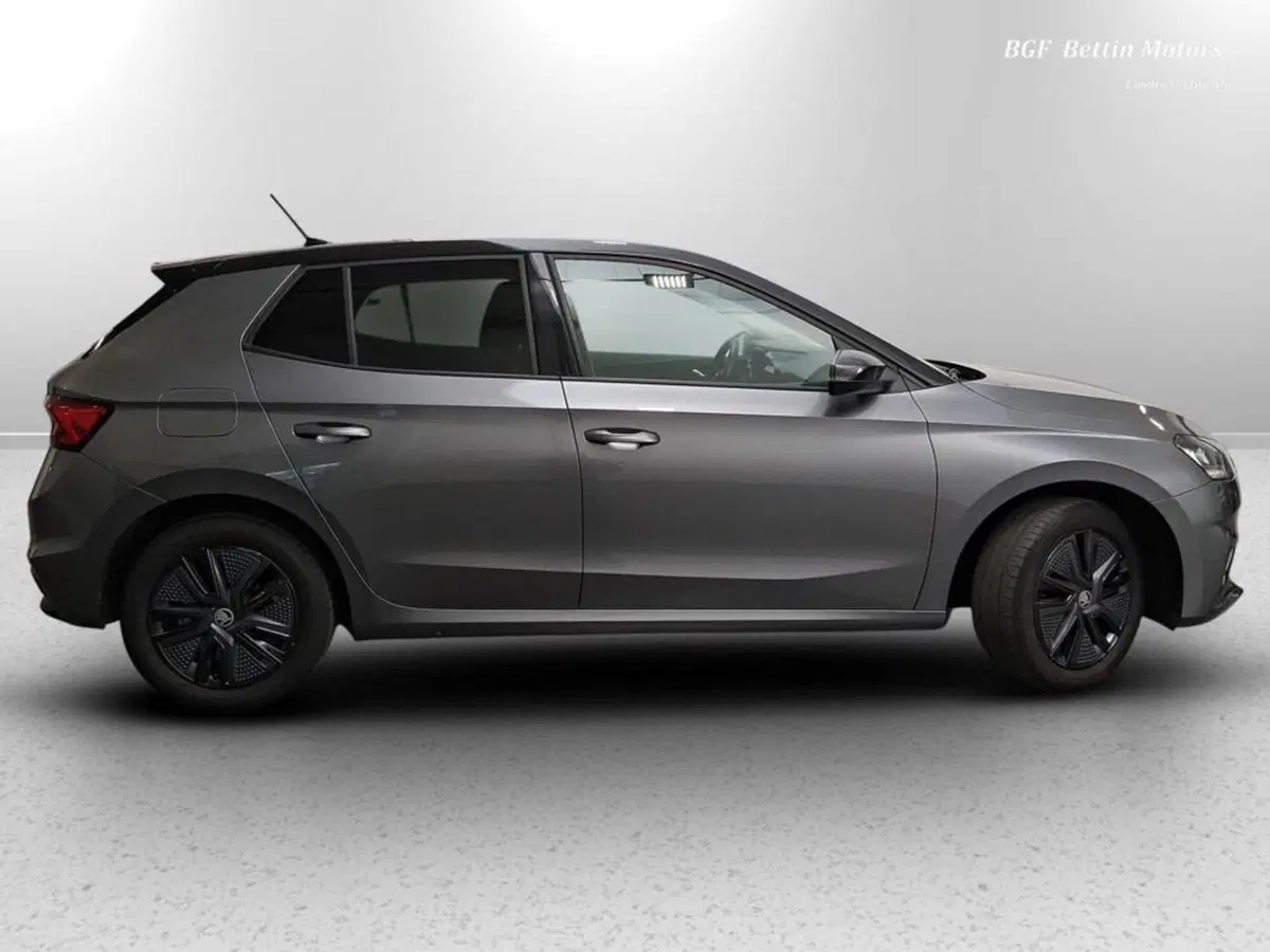 Skoda Fabia usata a Padova (5)
