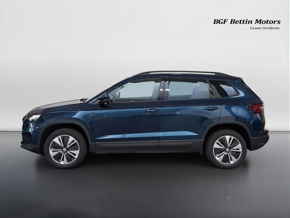 Skoda Karoq usata a Padova (2)