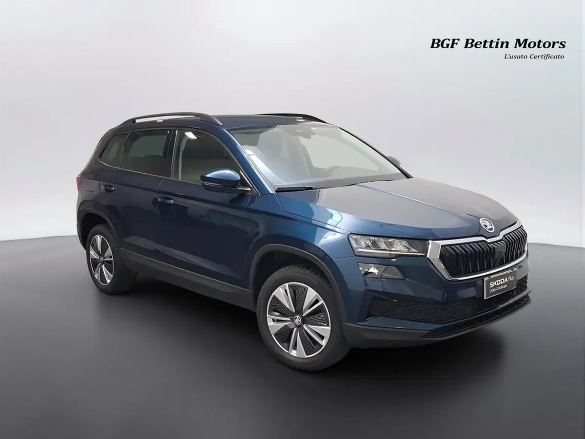 Skoda Karoq usata a Padova (6)