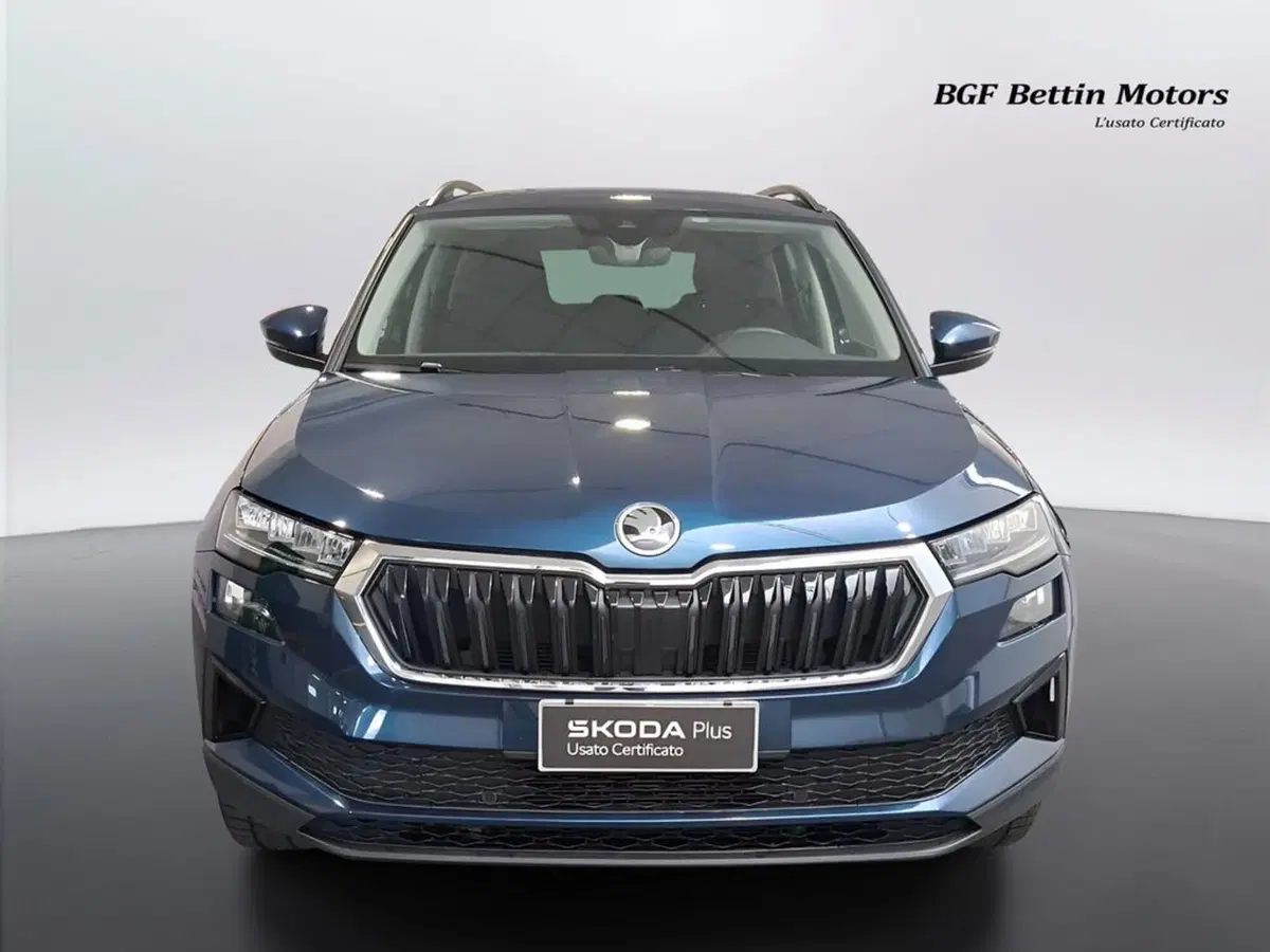 Skoda Karoq usata a Padova (7)