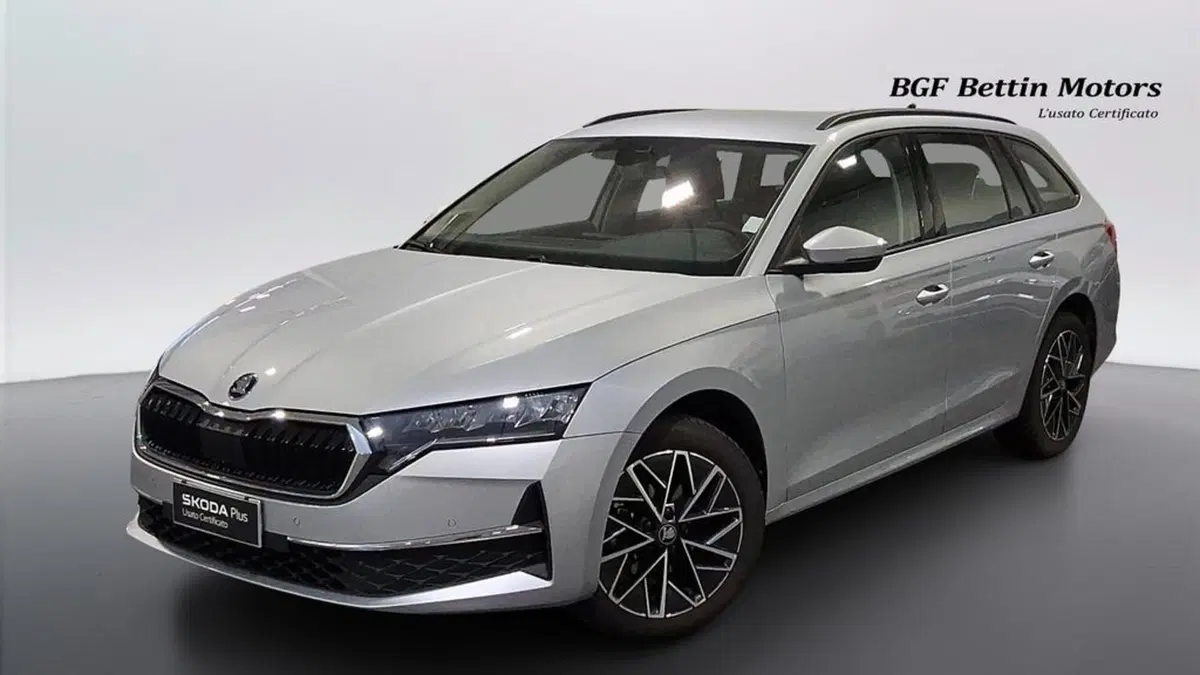 Skoda Octavia Station Wagon usata a Padova