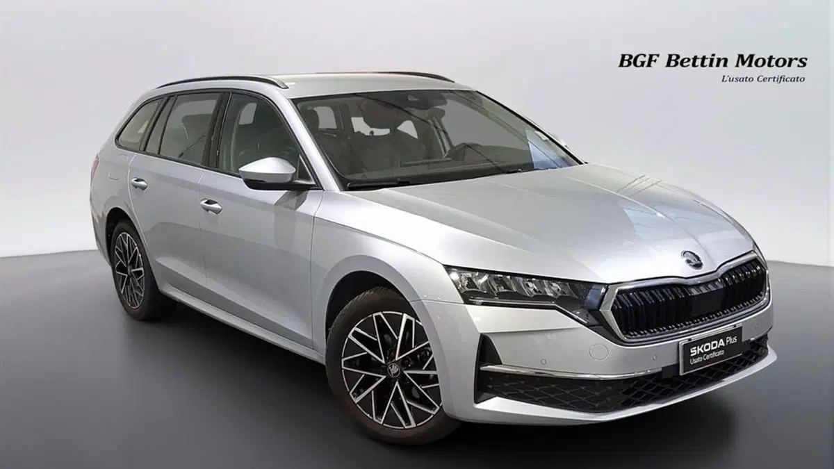 Skoda Octavia Station Wagon usata a Padova (6)