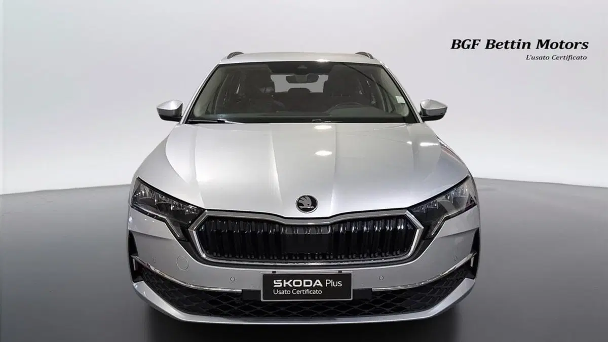 Skoda Octavia Station Wagon usata a Padova (7)
