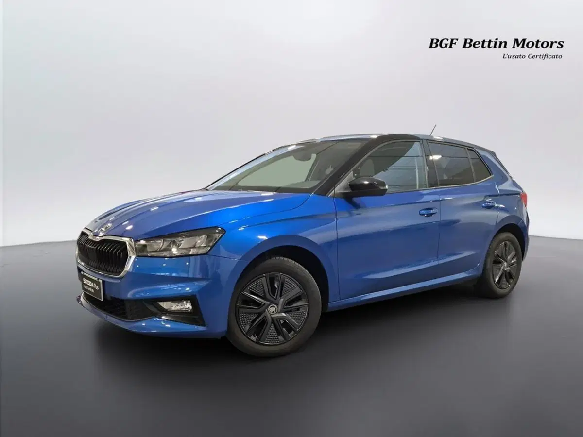 Skoda Fabia usata a Padova