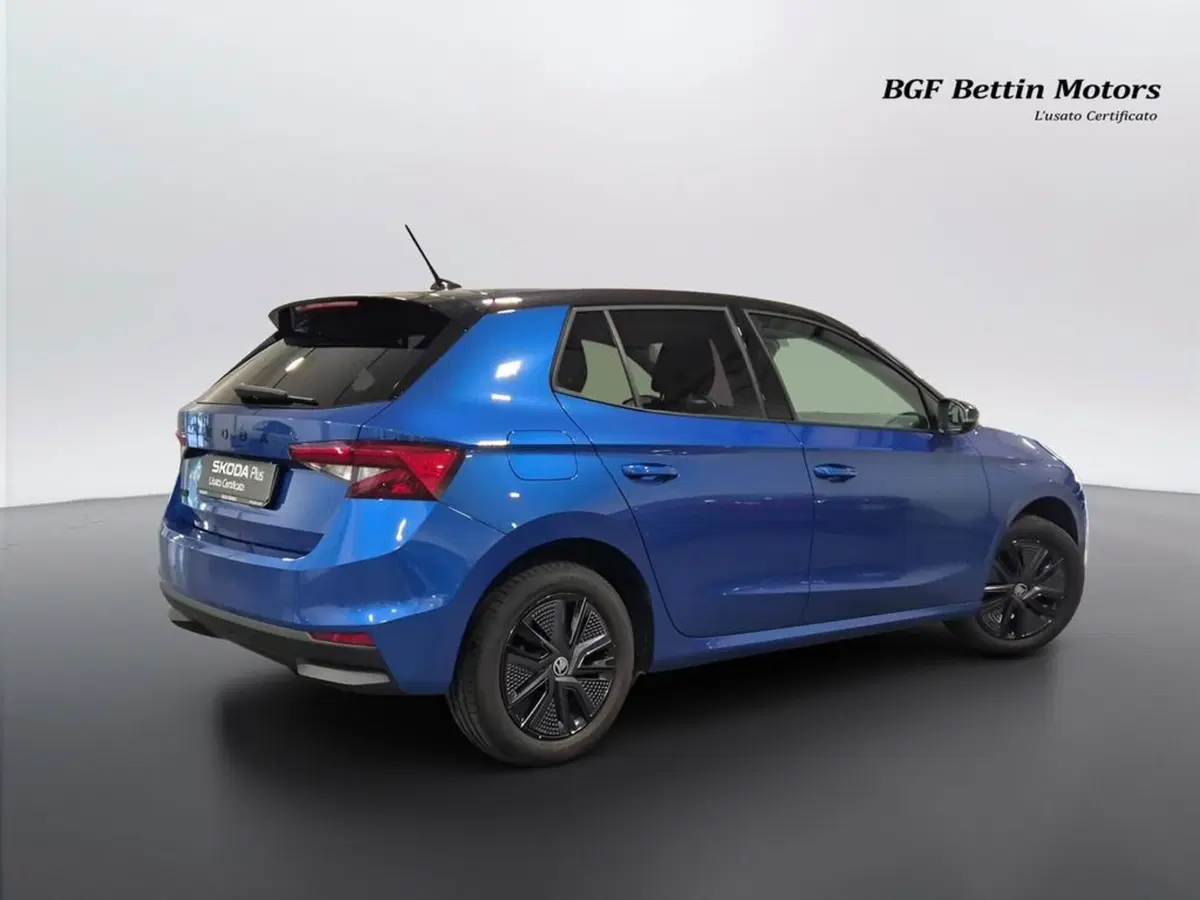 Skoda Fabia usata a Padova (3)
