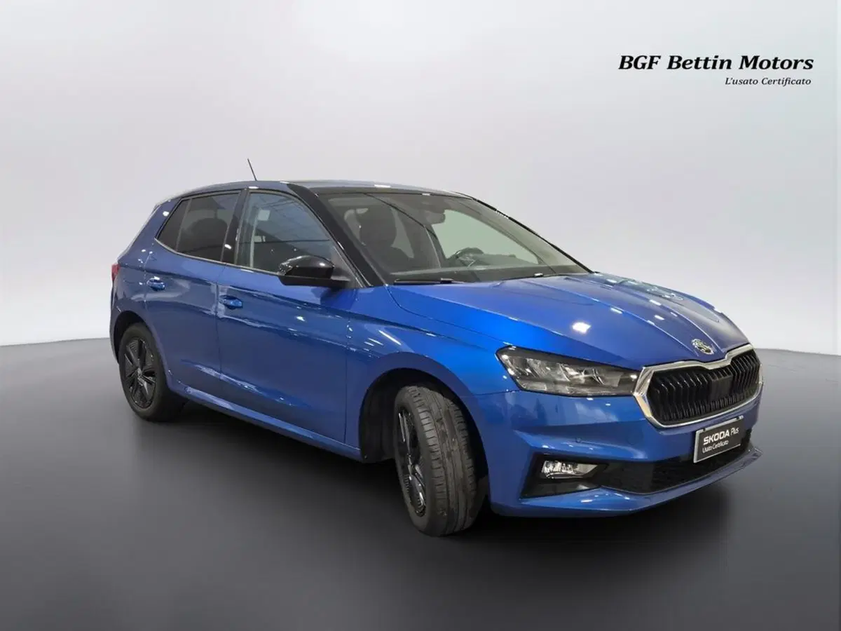 Skoda Fabia usata a Padova (5)