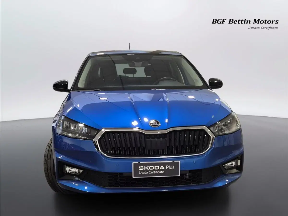 Skoda Fabia usata a Padova (7)