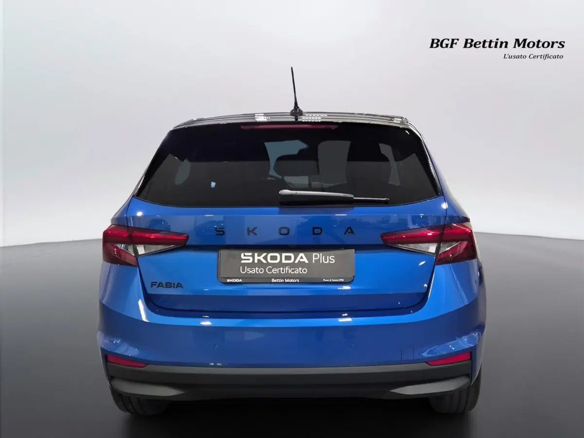 Skoda Fabia usata a Padova (8)