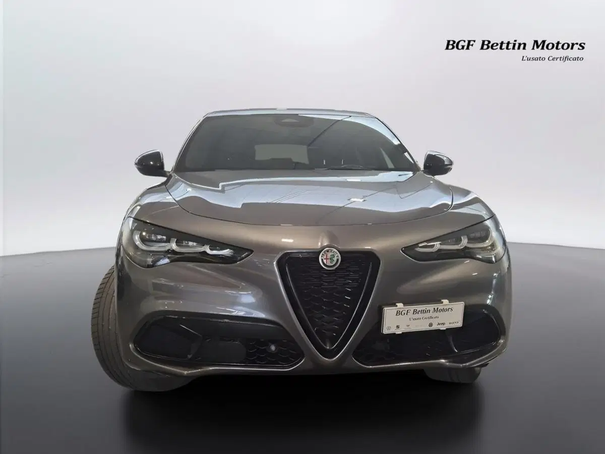 Alfa Romeo Stelvio usata a Padova (7)