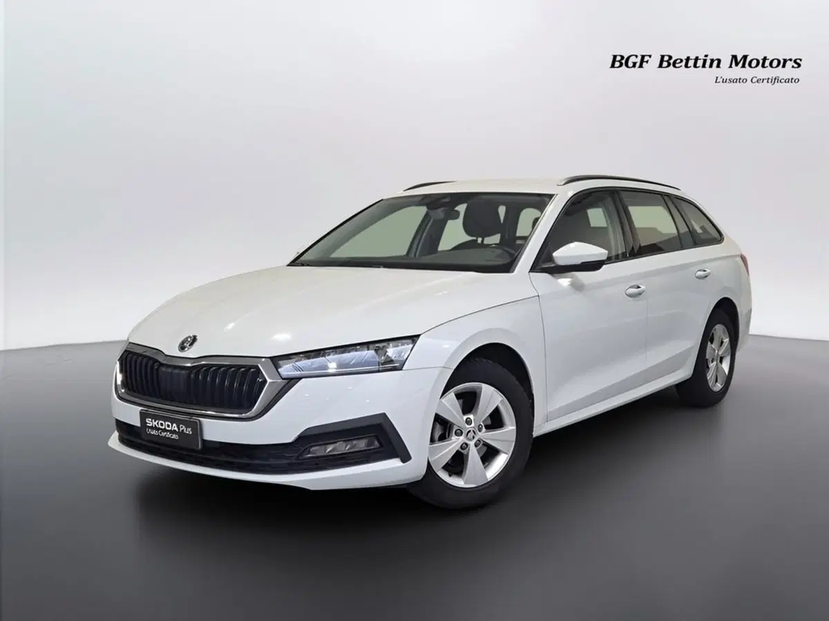 Skoda Octavia Station Wagon usata a Padova