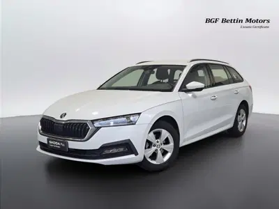 Skoda Octavia Station Wagon 2.0 TDI EVO SCR DSG Wagon Executive del 2021 usata a Piove di Sacco