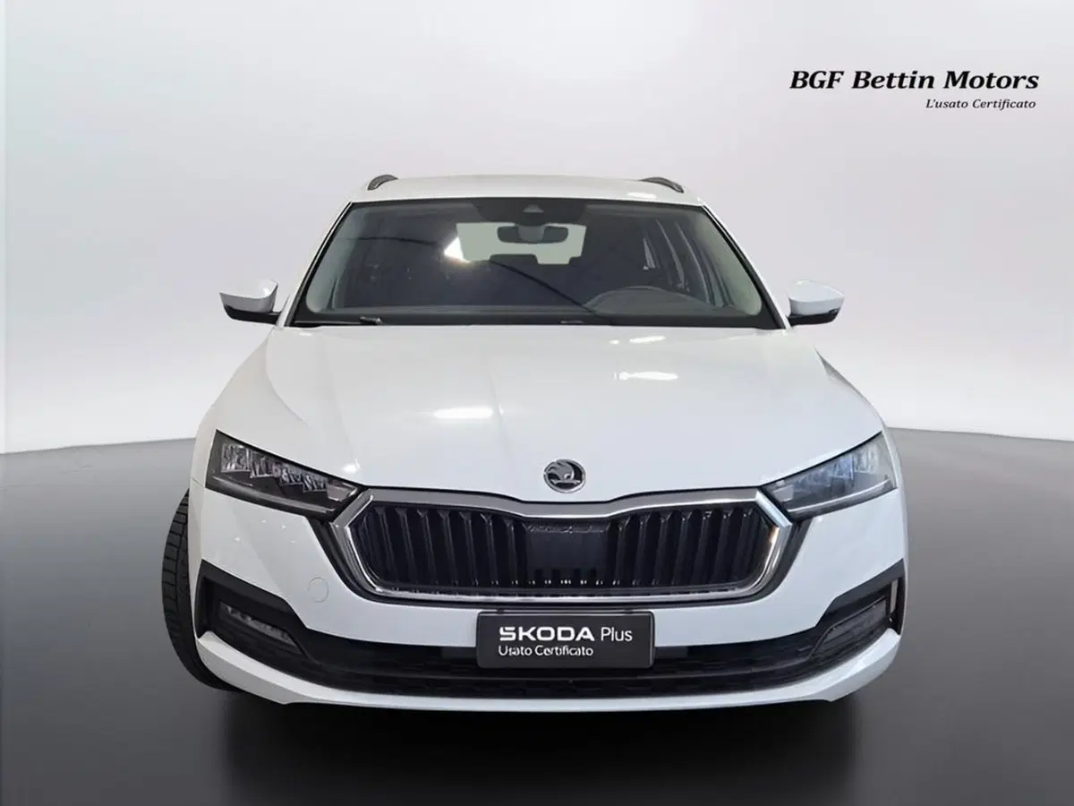 Skoda Octavia Station Wagon usata a Padova (7)